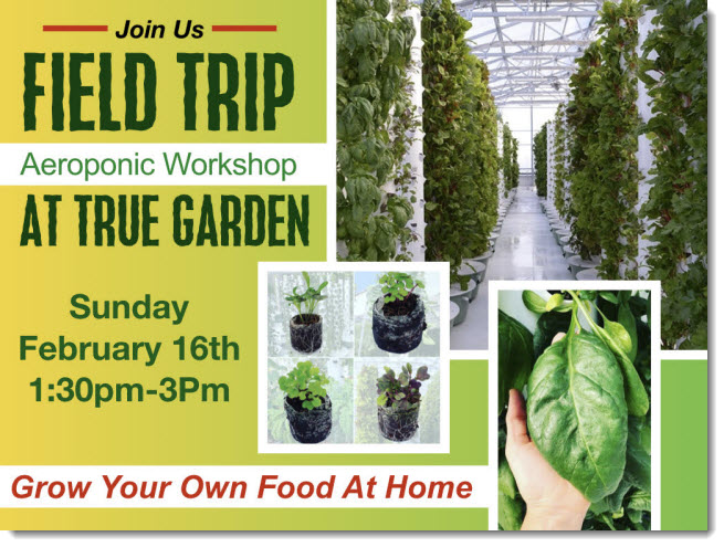 Aeroponic Workshop at True Garden