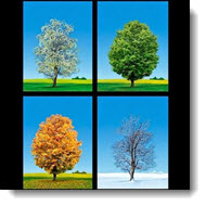 Fall