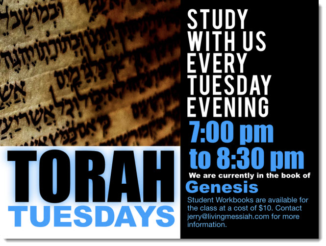 announcements - Shabbat Service